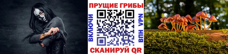 KRAKEN сайт  Ува  Галлюциногенные грибы Cubensis 